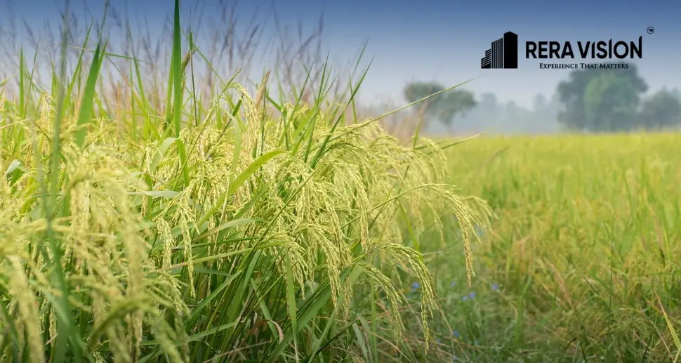 NA Plot Meaning: What Is an NA Plot, NA Order & Non-Agricultural Land Explained